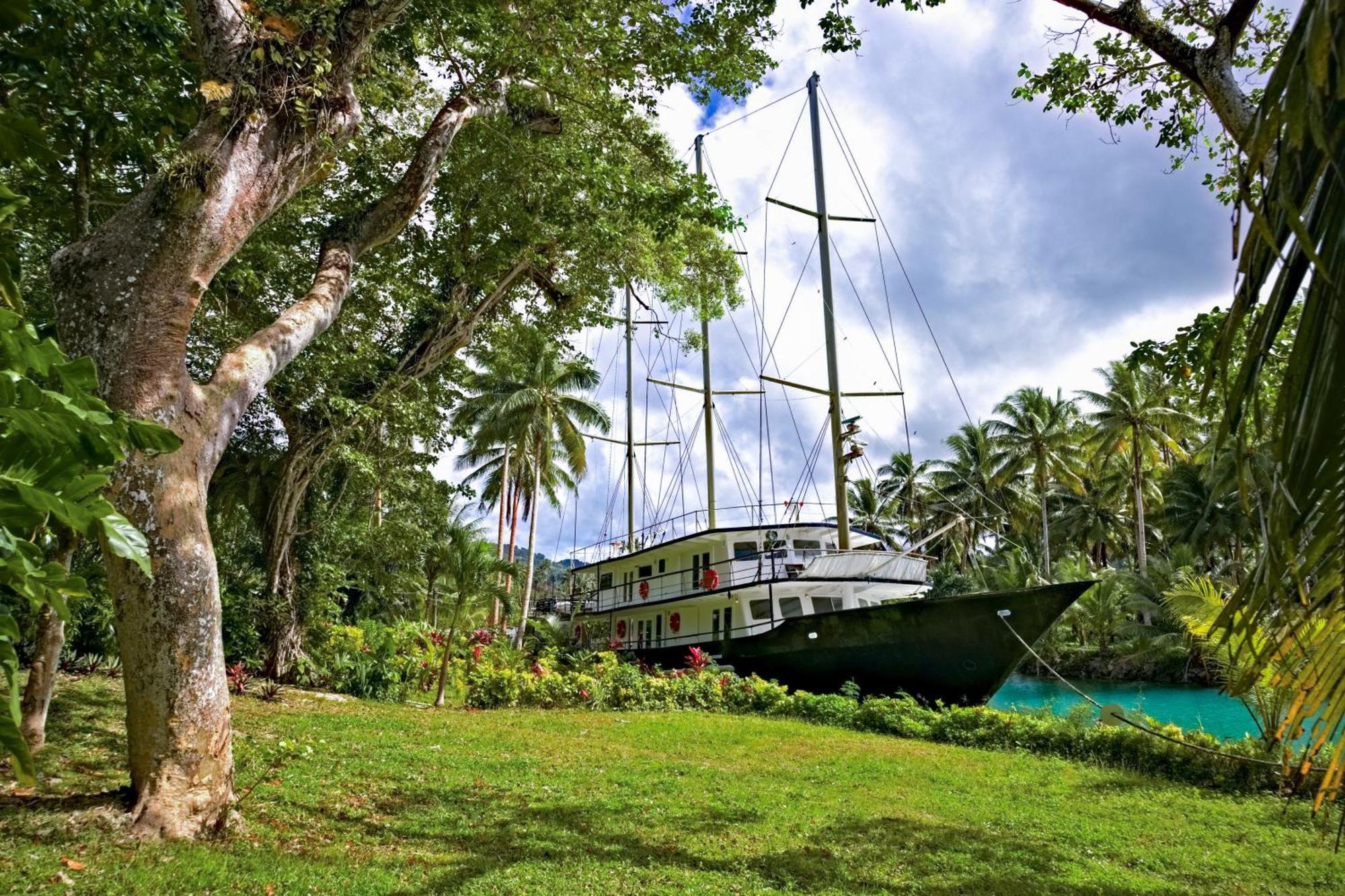 Savasi Island Resort Savusavu Værelse billede