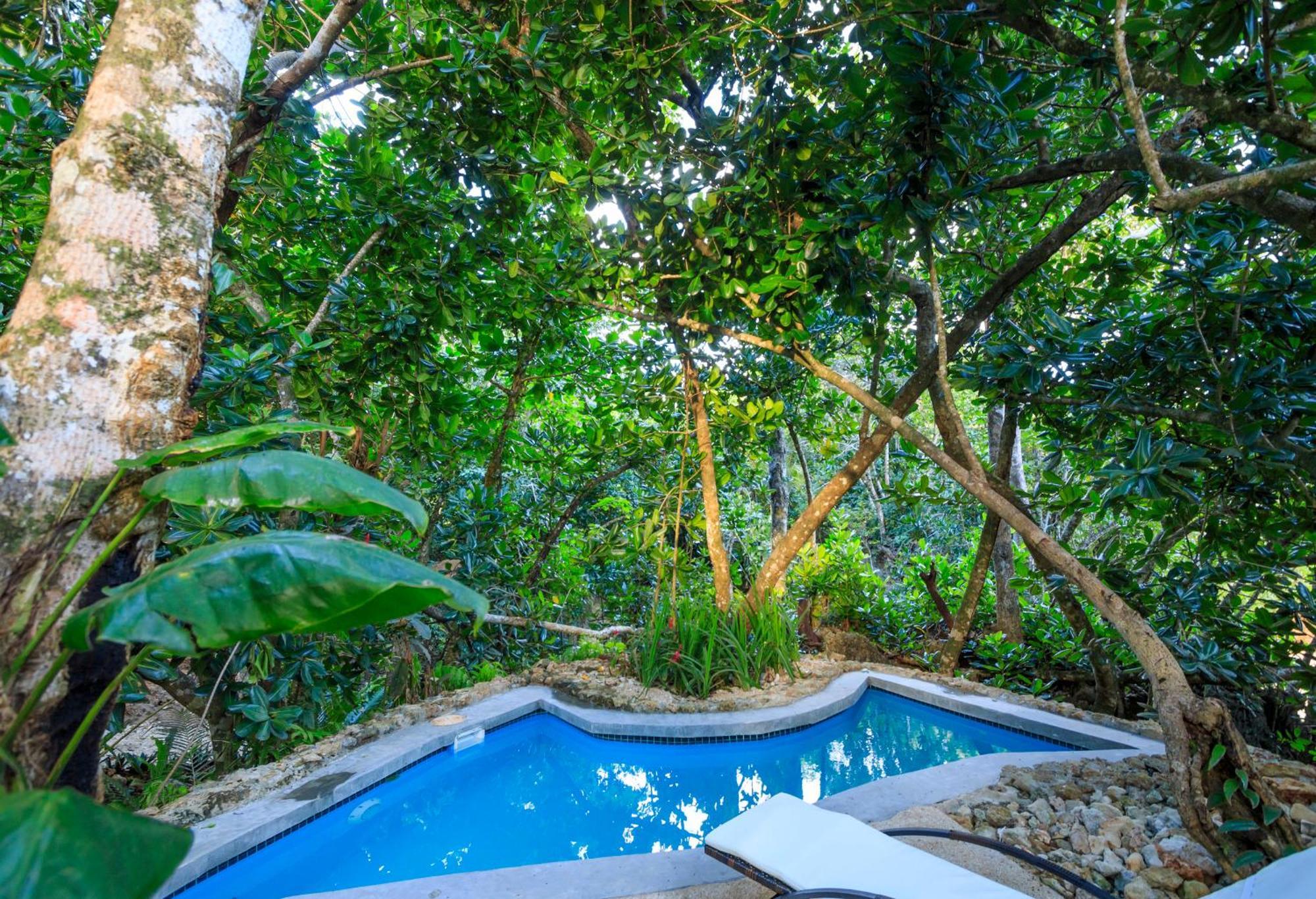 Savasi Island Resort Savusavu Værelse billede