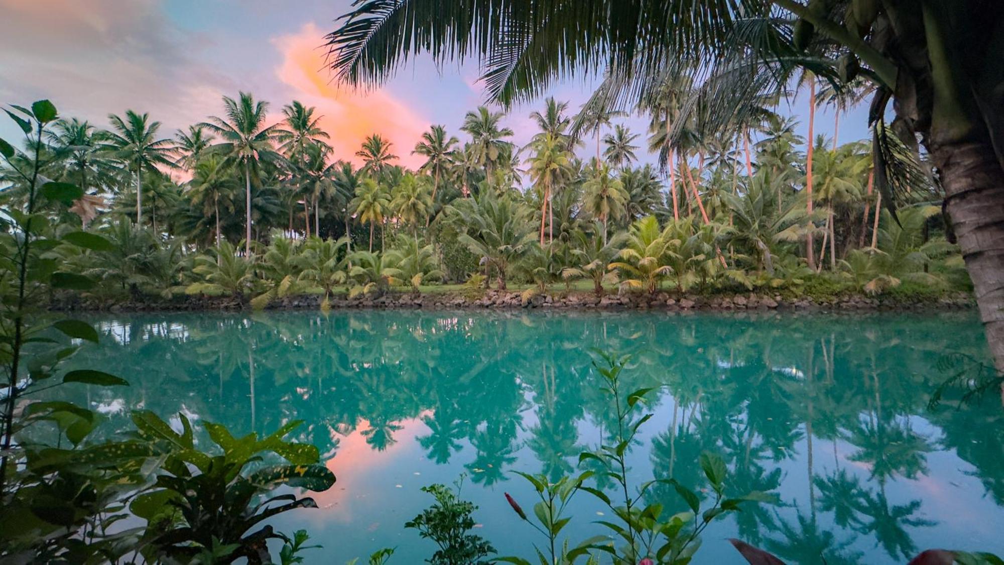 Savasi Island Resort Savusavu Eksteriør billede